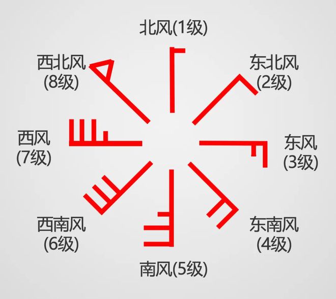 上海天气太任性：先创新低再冲22℃！41条景观道开启落叶不扫→